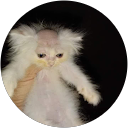 Hanna Fudalej profile picture